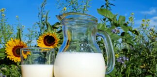 Ökotest bestätigt Milchqualität der Molkerei Berchtesgadener Land