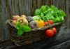 Bayerische Ernährungstage: Ernährung prägt Lebensstil und Gesundheit