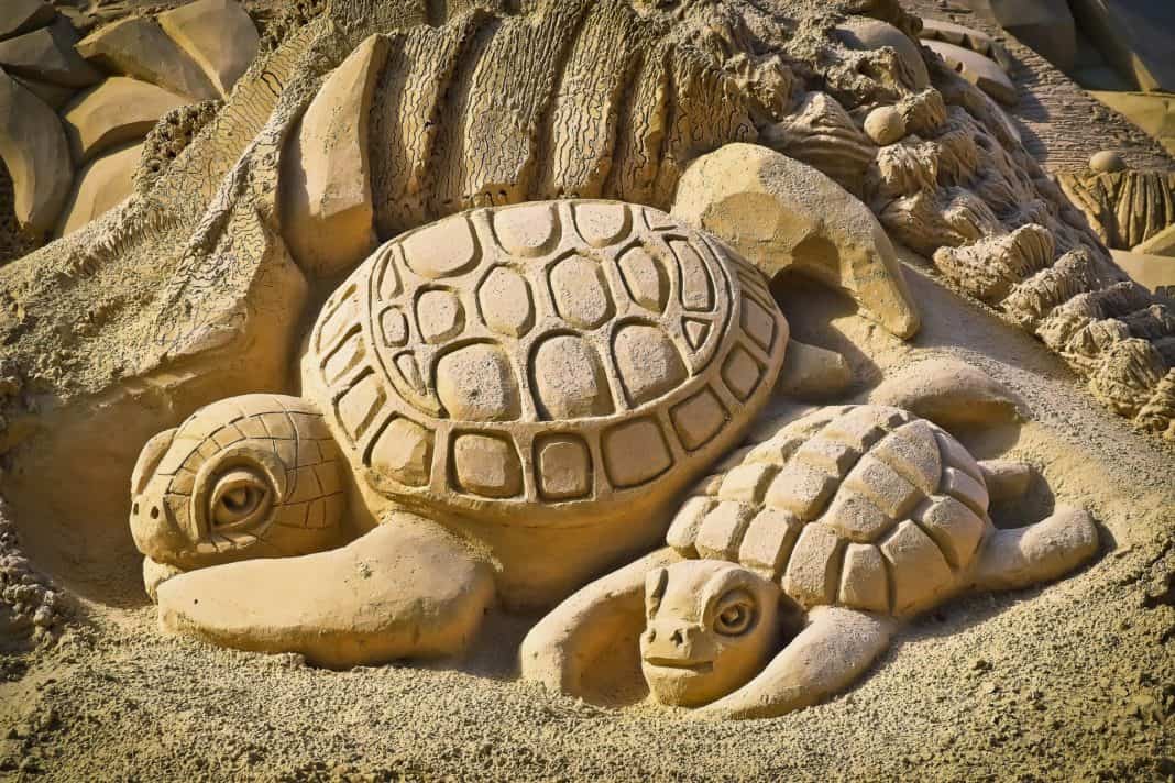 Von Sandskulpturen und Kreidekunst in Sarasota County