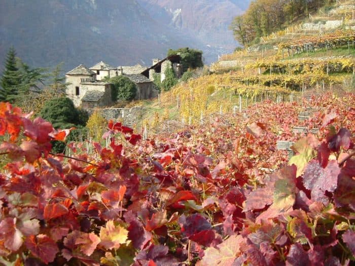 Am 26. November findet im Aostatal die Siegerehrung der 25. Mondial Vins Extrêmes statt.
