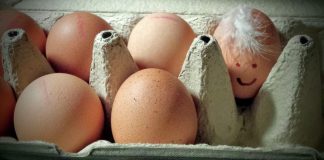 Welt-Ei-Tag: Kann ich Eier einfrieren?