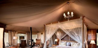 One Nature Hotels & Resorts unterstützen Umweltprojekte in der Serengeti