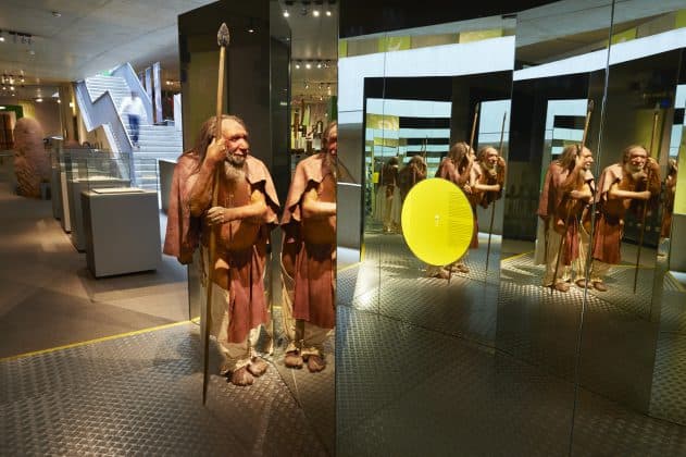 Ausstellungsbereich Neanderthal Museum