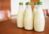 EU will aus gesundheitlichen Gründen keine gezuckerte Schulmilch mehr fördern