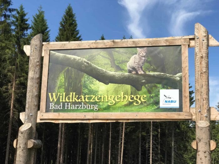 Hinweistafel Wildkatzengehege Bad Harzburg