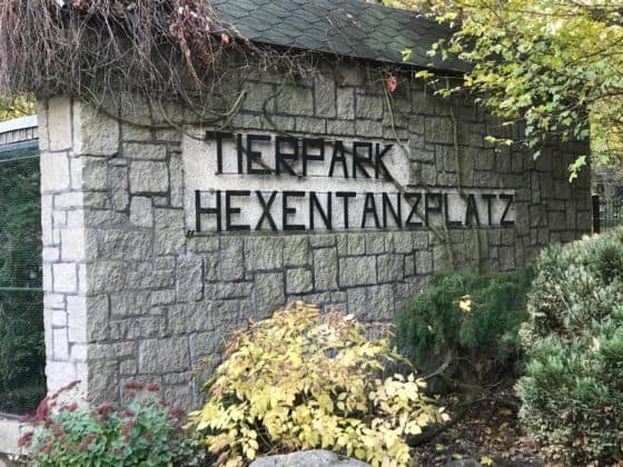 LogoTierpark Hexentanzplatz Thale