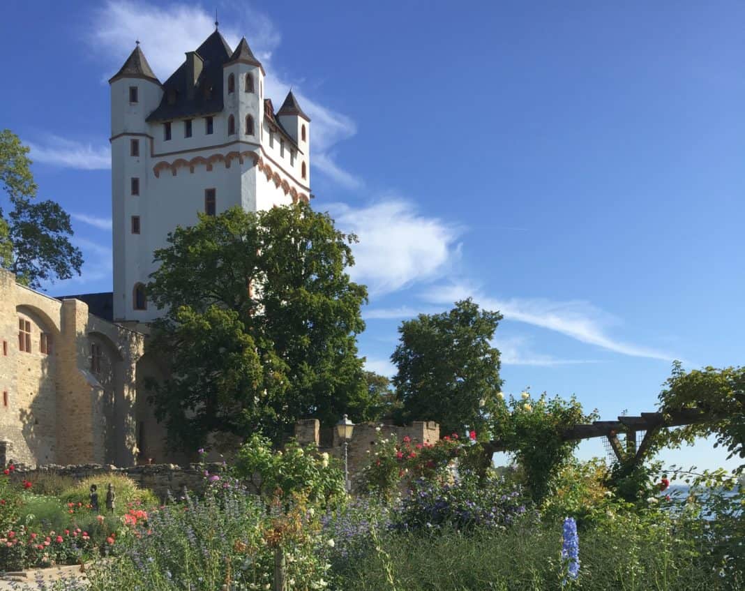 Eltville: Die Sekt- und Rosenstadt im Rheingau erleben