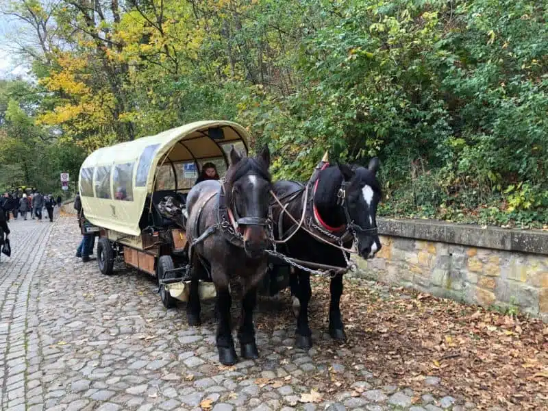 Mit der Pferdekutsche zum Schloss Wernigerode