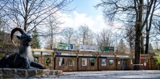 Münchner Tierpark Hellabrunn muss erneut schließen