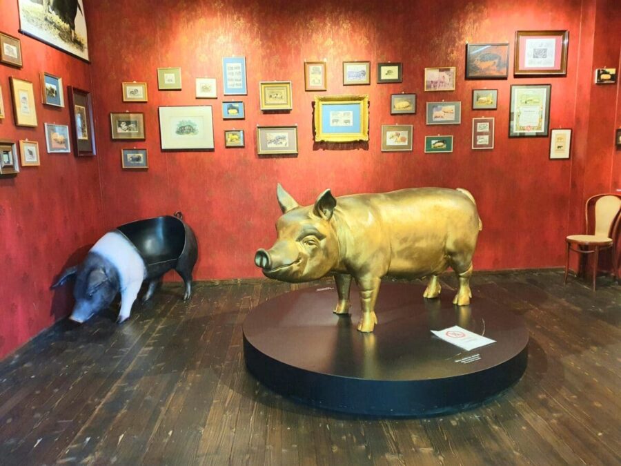 Goldenes Schwein im SchweineMuseum 