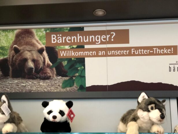 Bärenhunger im Alternativen Bärenpark Worbis?