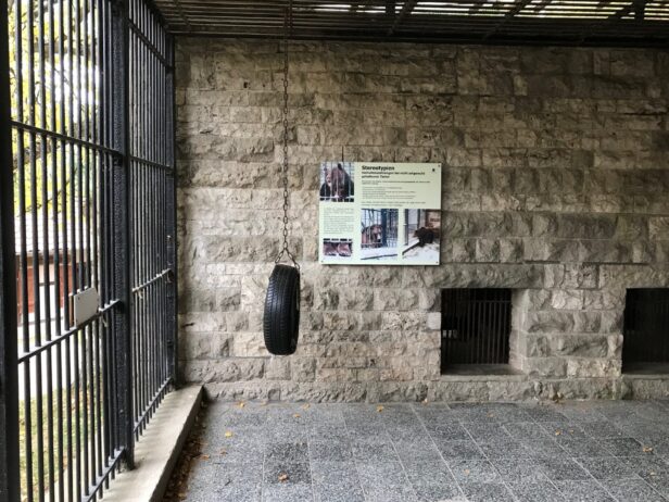 Zu DDR-Zeiten wurden Bären im Park in kleinsten Käfigen gehalten
